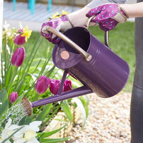 Grozone Watering Can - Violet 4.5ltr
