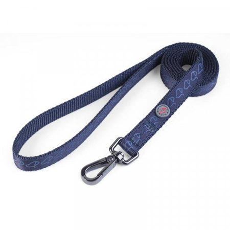 Walkabout Blue Brand Dog Lead - S