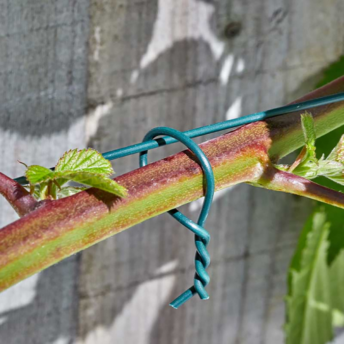 Smart Garden Coated Wire 2Mm X 25M