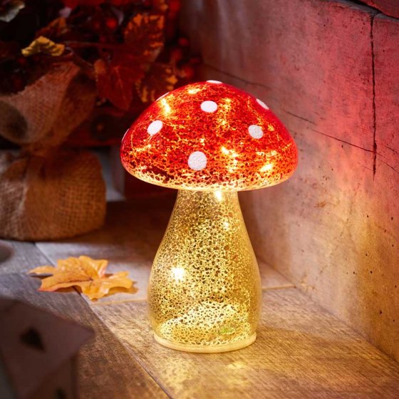 Outside In InLit GloShroom