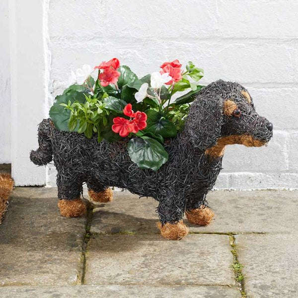 Flamboya Sausage Dog Planter