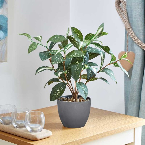 Faux Décor Japanese Laurel 38cm