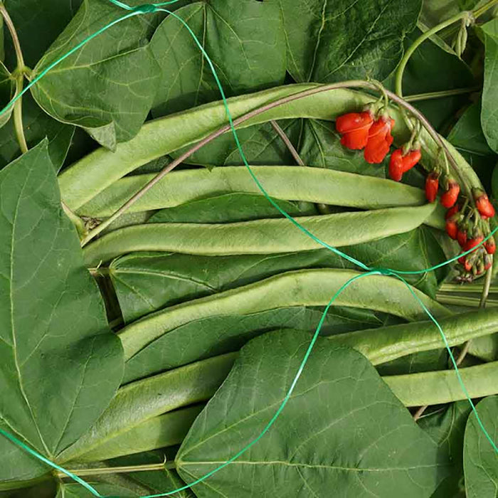 SmartGarden Pea & Bean Netting - Green 150mm Mesh 2 x 5m