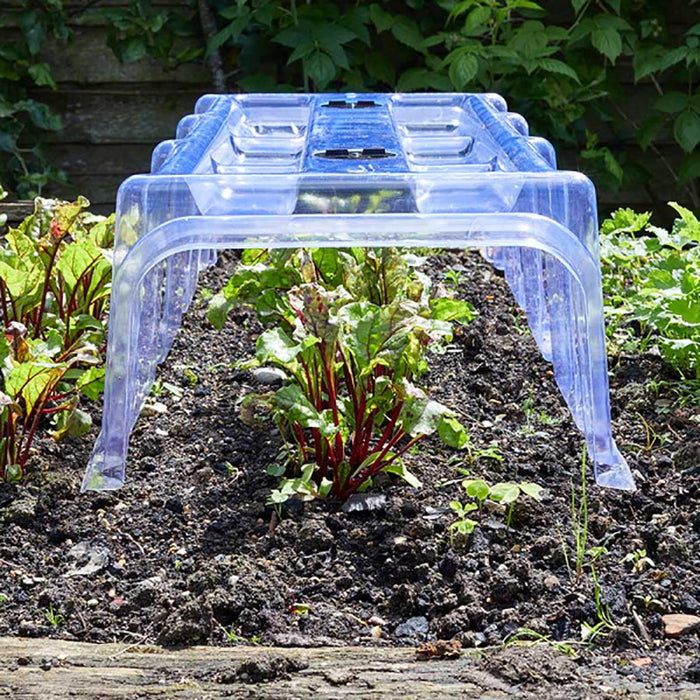 Smart Special ClearCloche