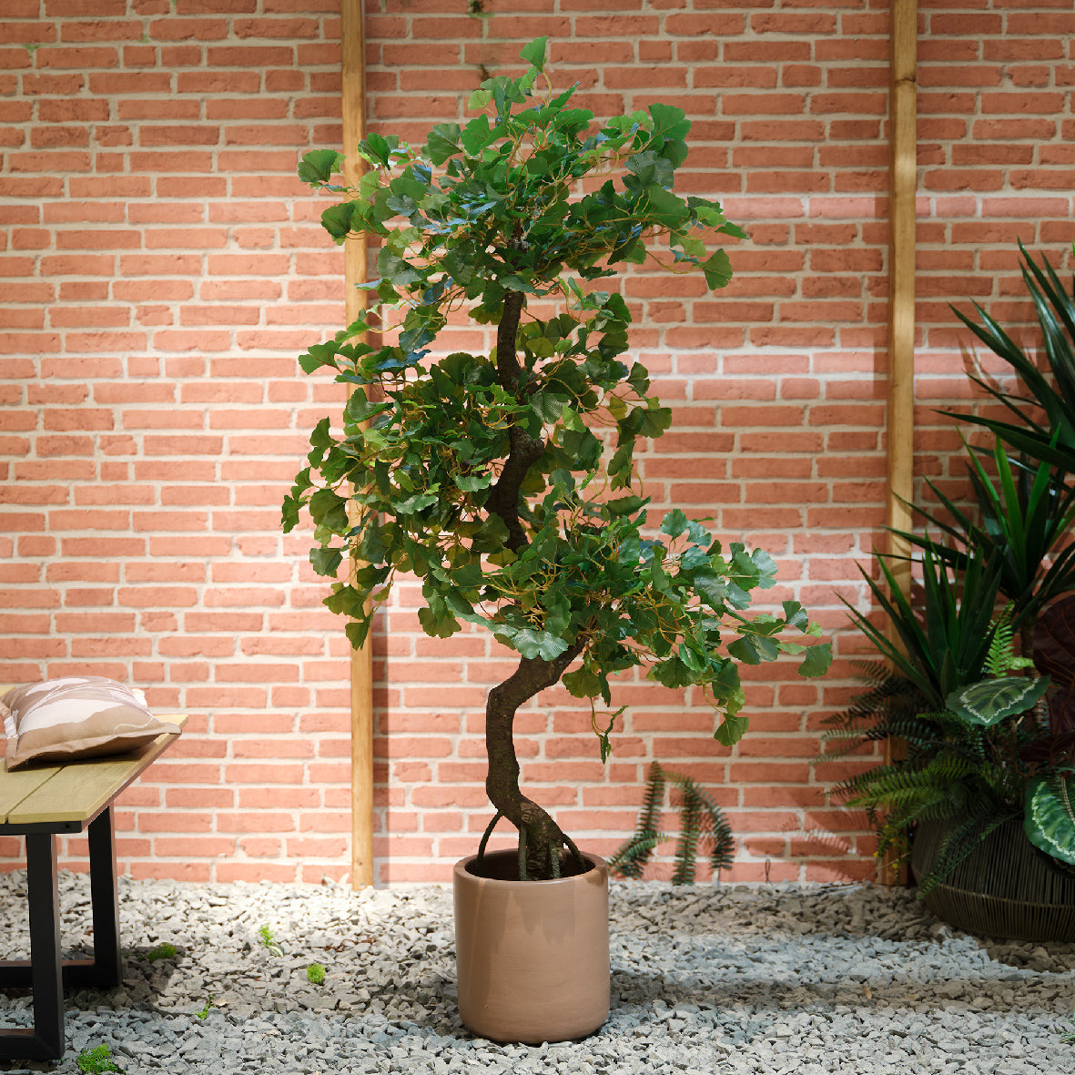 Plant