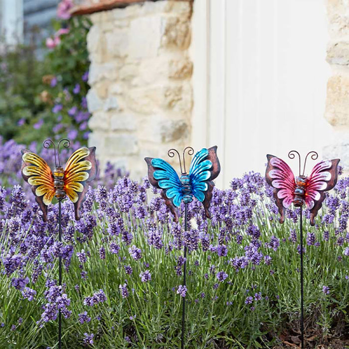 Flamboya Bella Butterflies
