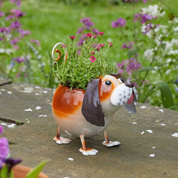 Flamboya DogPot