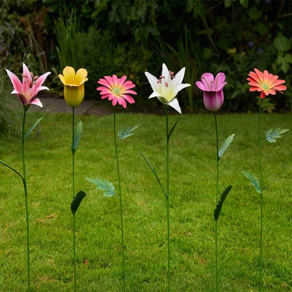 Flamboya Flower Power Barmy Stakes
