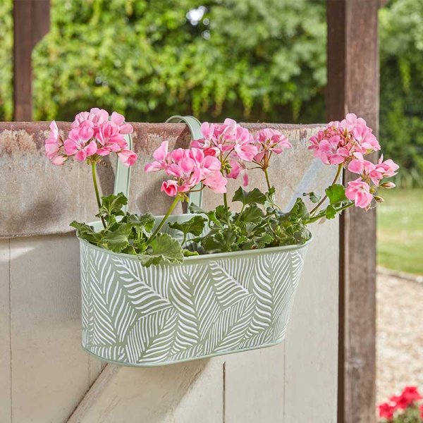 Smart Garden 12" Fence & Balcony Hanging Planter - Fern - Sage