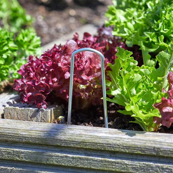 Smart Garden Galvanised Film & Fabric Staples - 10 Pack