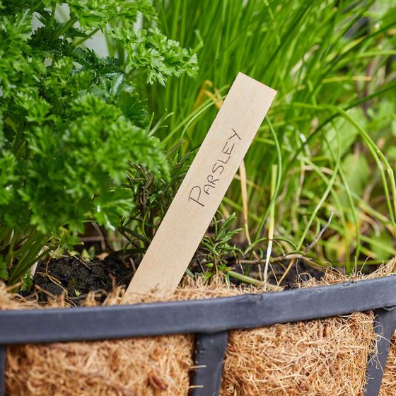 Smart Garden 15cm Wooden Plant Labels 40pk