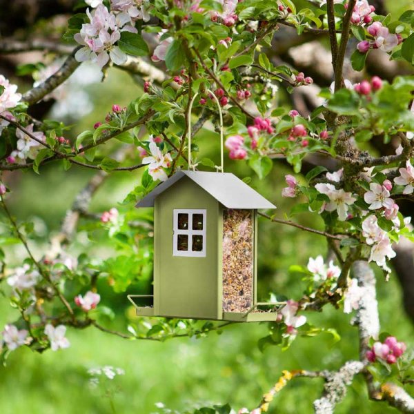 Chapelwood Beach Hut Feeders