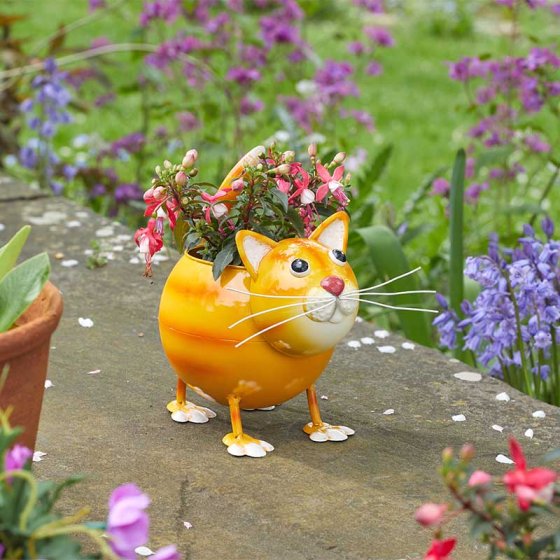 Flamboya CatPot