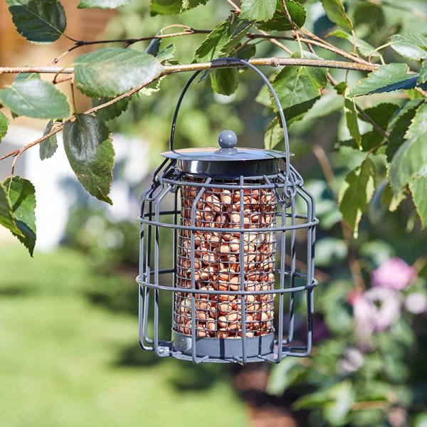 Chapelwood Compact Squirrel Proof Peanut Feeder Assorted