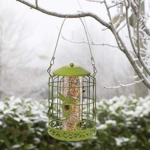 Chapelwood Decor Squirrel Proof Seed Feeder