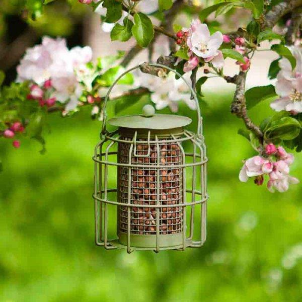 Chapelwood Compact Squirrel Proof Peanut Feeder Assorted
