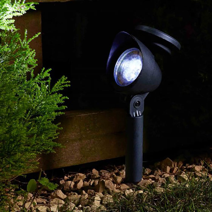 Superbright Prima 3L