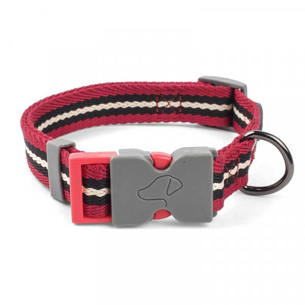 Walkabout Durham Dog Collar - Xs