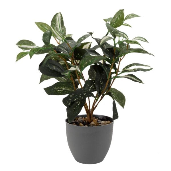 Faux Décor Japanese Laurel 38cm