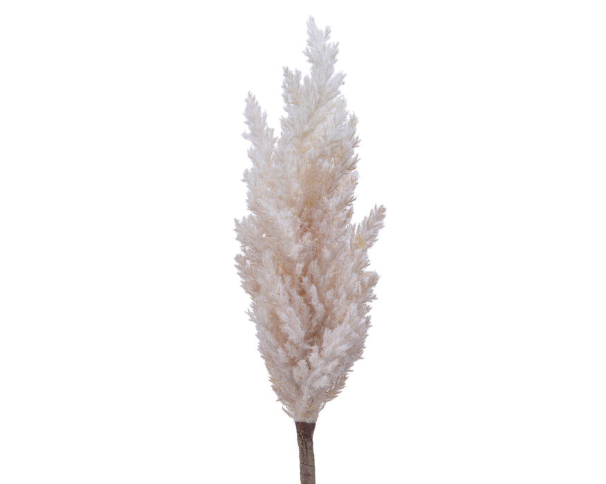 Pampas-Grass-Plume-On-Plastic-Stem