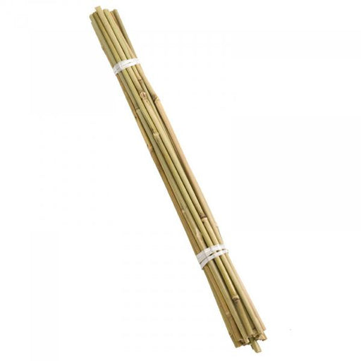 Smart-Garden-Bamboo-Canes-60cm-bundle-of-20-***