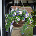 Faux-Decor-Easy-Basket-Petunias-