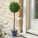 Faux-Decor-Uno-Topiary-Tree-40cm