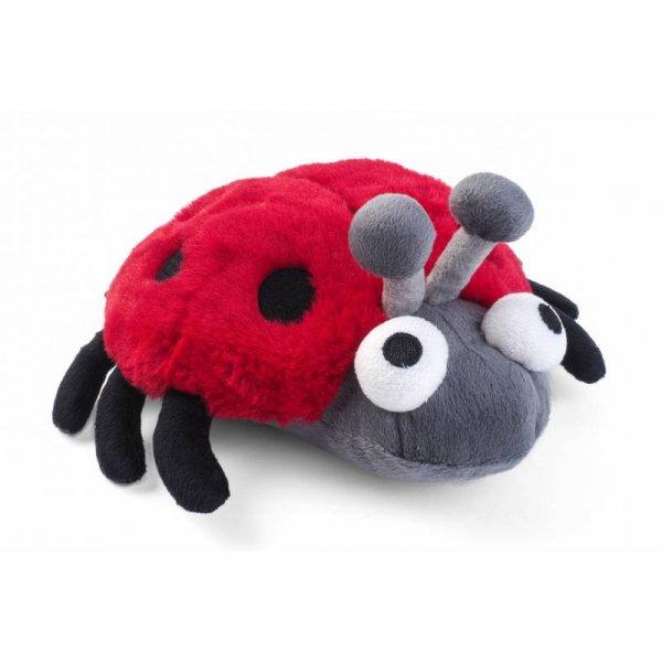 Zšon Ladybug