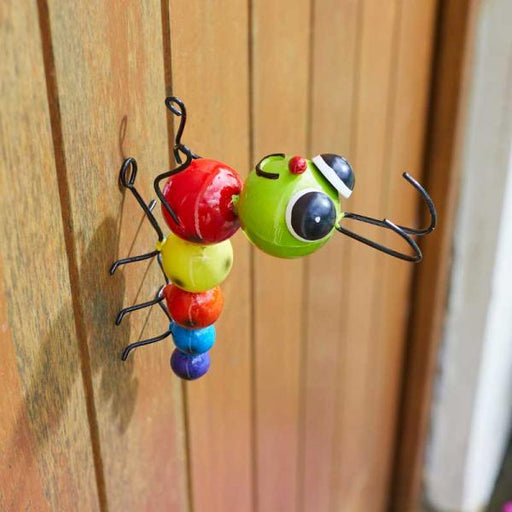 Flamboya-Crazee-Caterpillar-