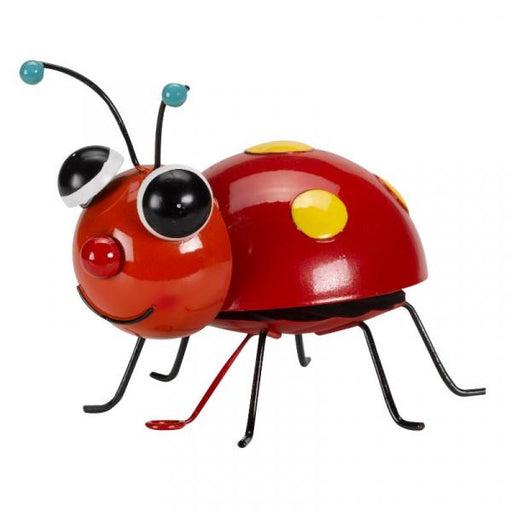 Flamboya-Large-Loony-Ladybug-