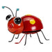 Flamboya-Large-Loony-Ladybug-