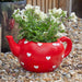 Flamboya-Teapot-Heart-Planter