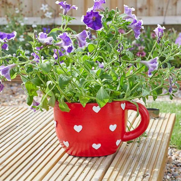 Flamboya-Teacup-Heart-Planter