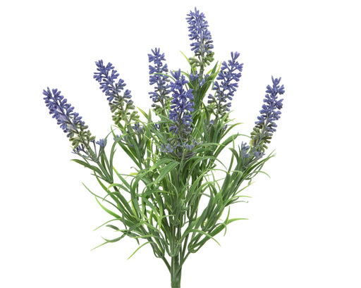 Lavender-Bunch