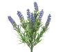 Lavender-Bunch