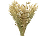 Dried-Flower-Bouquet-Mix-On-Stem-