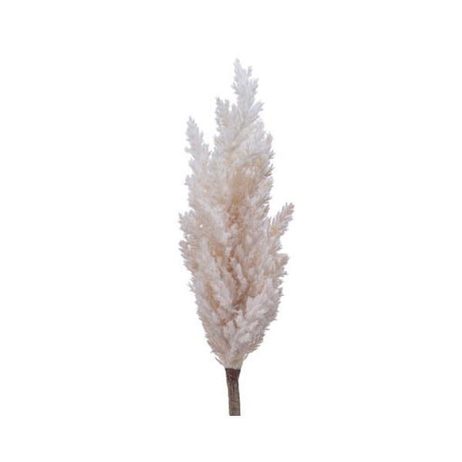 Pampas-Grass-Plume-On-Stem-Plastic-Cream