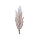 Pampas-Grass-Plume-On-Stem-Plastic-Cream