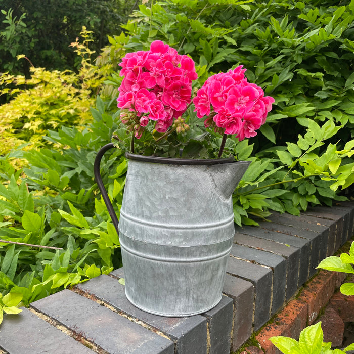 Metal Jug Planter