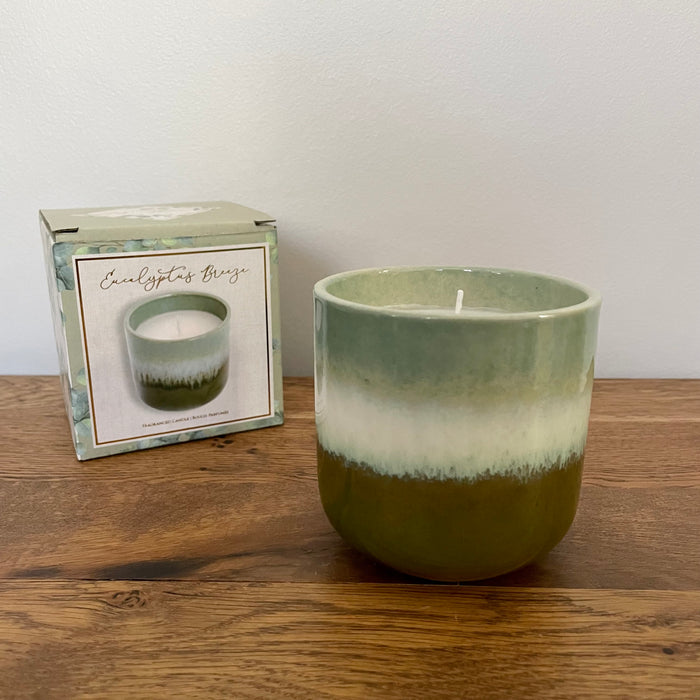 Eucalyptus Candlepot