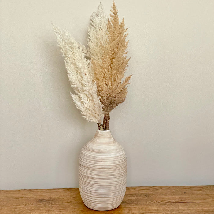 Pampas Grass Plume On Stem Plastic Cream