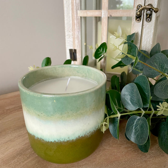 Eucalyptus Candlepot