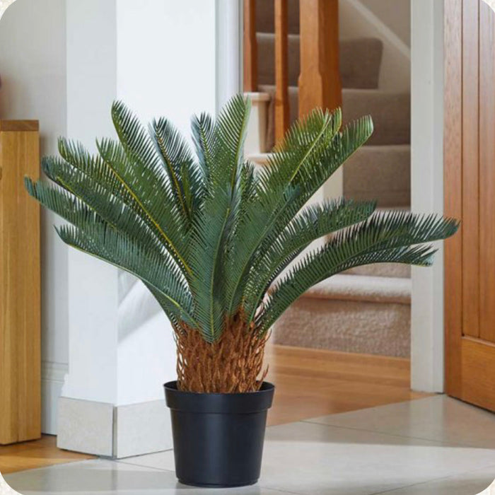 Faux Decor Sago Palm 68cm